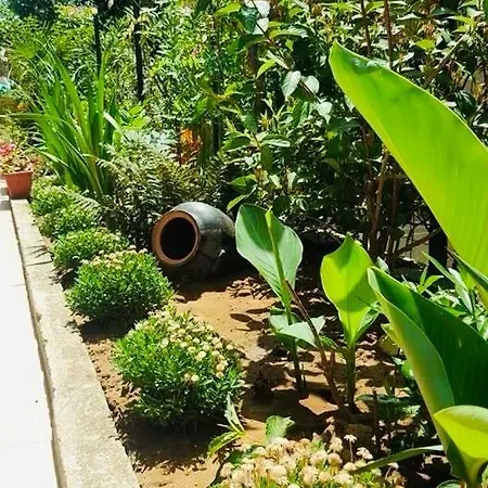 Casa de hóspedes Yana *