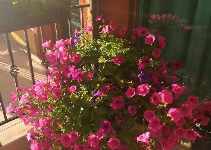 Yana Casa de hóspedes 3*